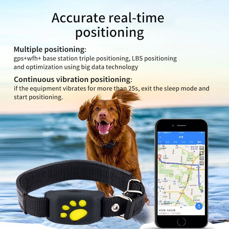 The Ultimate Pet Travel Essentials Checklist for 2026 - Tanyo Pet Boutique