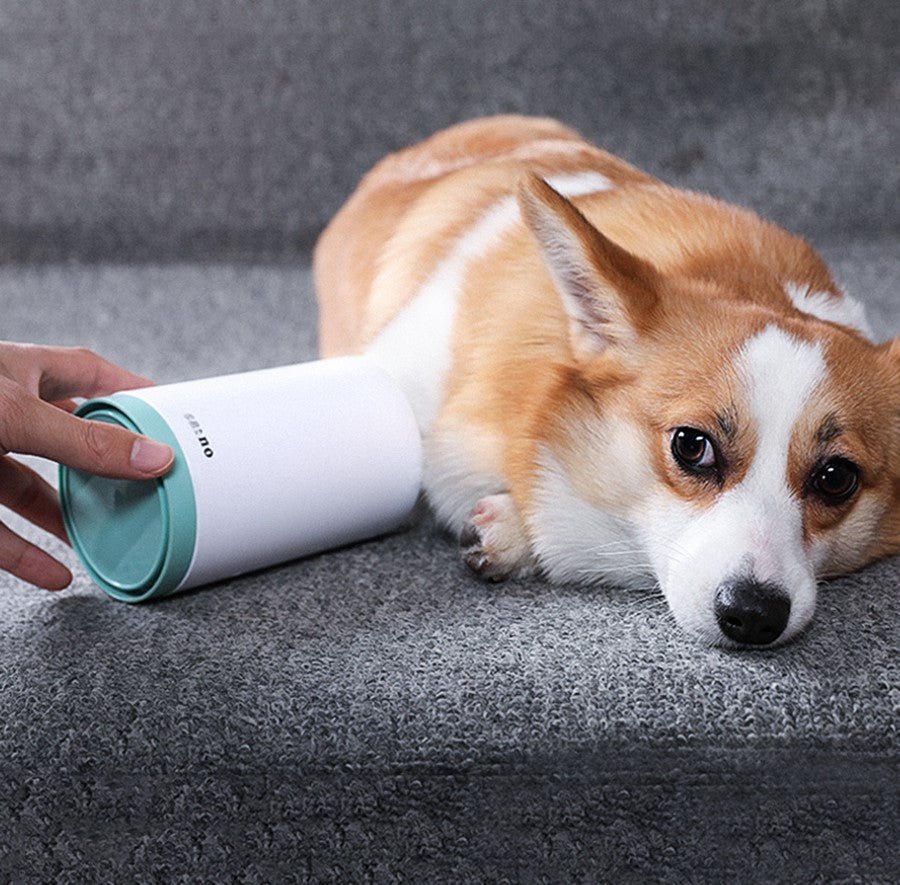 Paw Cleaning Collection