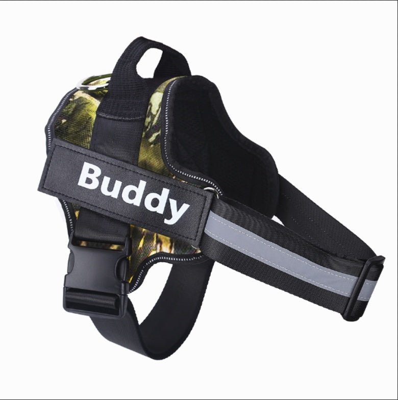 Safety - Tanyo Pet Boutique