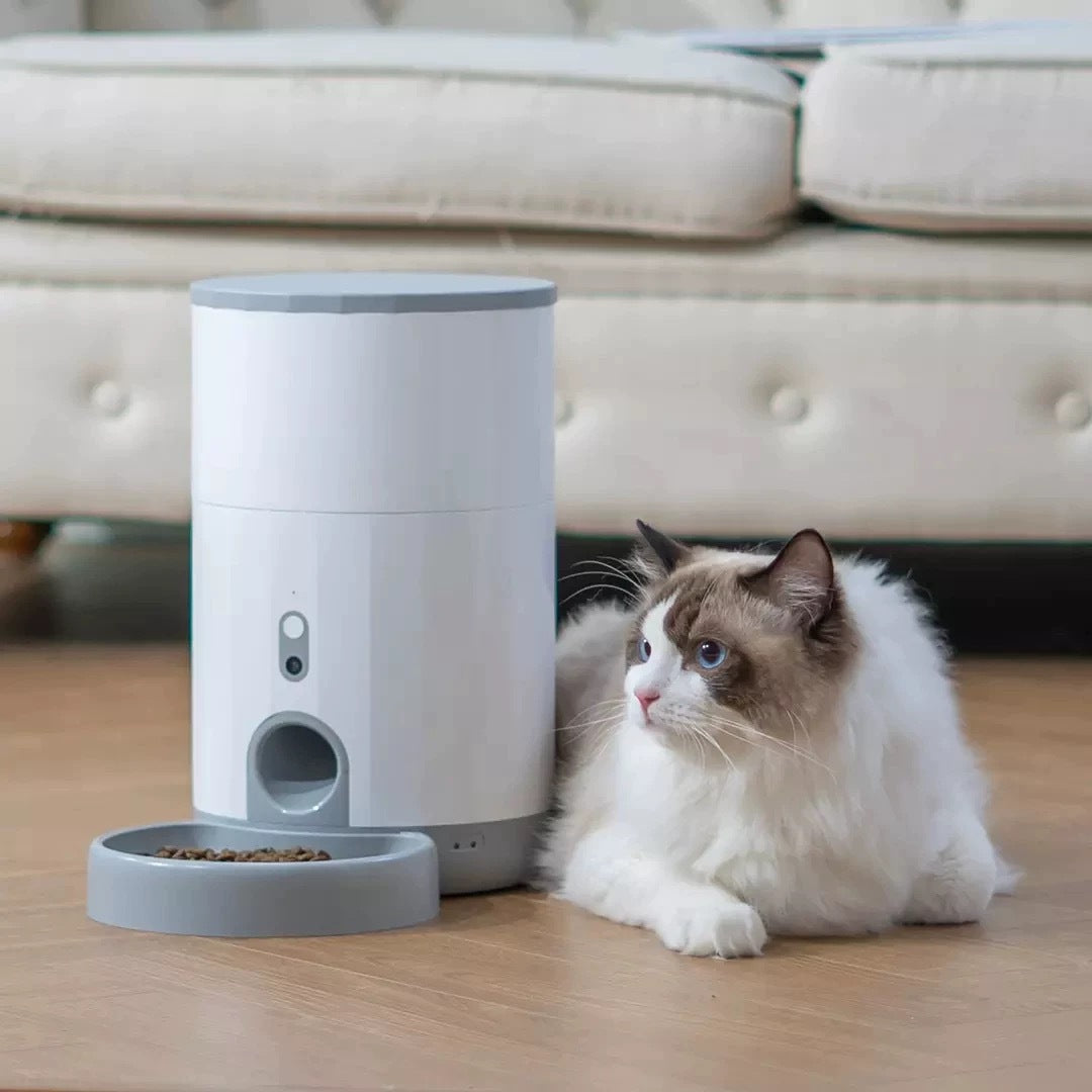 Automatic Mini Pet Feeder for Happy Mealtimes