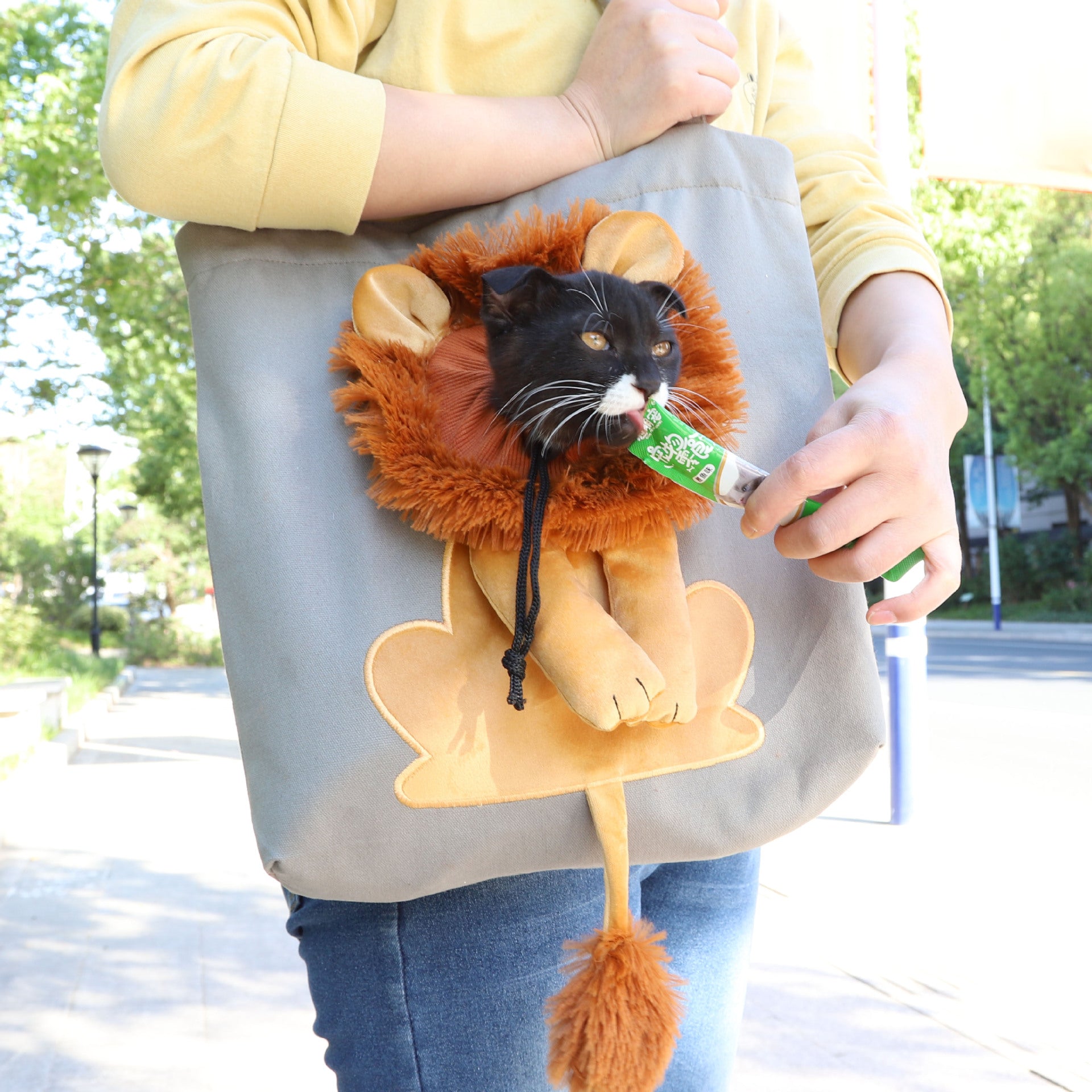 Breathable Lion Carrier Bag for Cats and Dogs