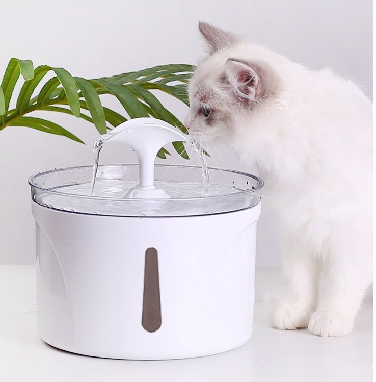 Automatic Pet Water Fountain with Filter – Fresh Circulating Drinking Water | Tanyo Pet Boutique - Tanyo Pet Boutique