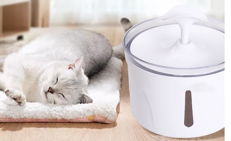 Automatic Pet Water Fountain with Filter – Fresh Circulating Drinking Water | Tanyo Pet Boutique - Tanyo Pet Boutique