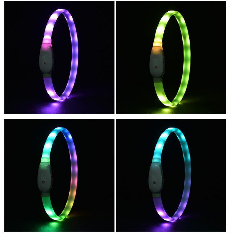 Bright LED Dog Collar for Nighttime Adventures - Tanyo Pet Boutique