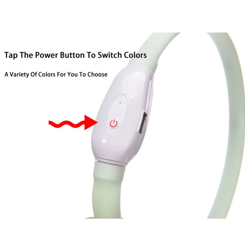 Bright LED Dog Collar for Nighttime Adventures - Tanyo Pet Boutique