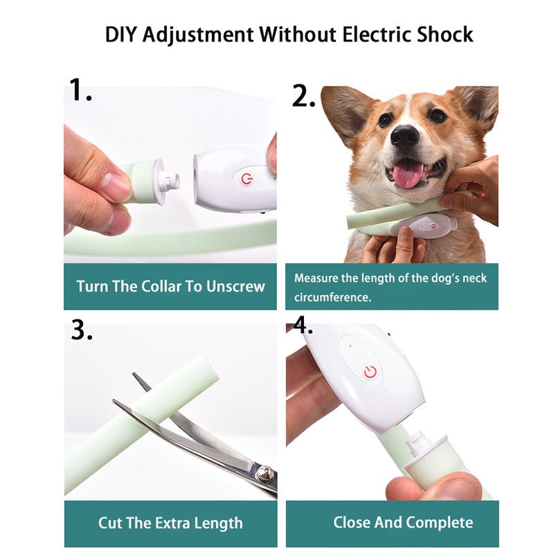 Bright LED Dog Collar for Nighttime Adventures - Tanyo Pet Boutique