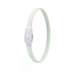 Bright LED Dog Collar for Nighttime Adventures - Tanyo Pet Boutique