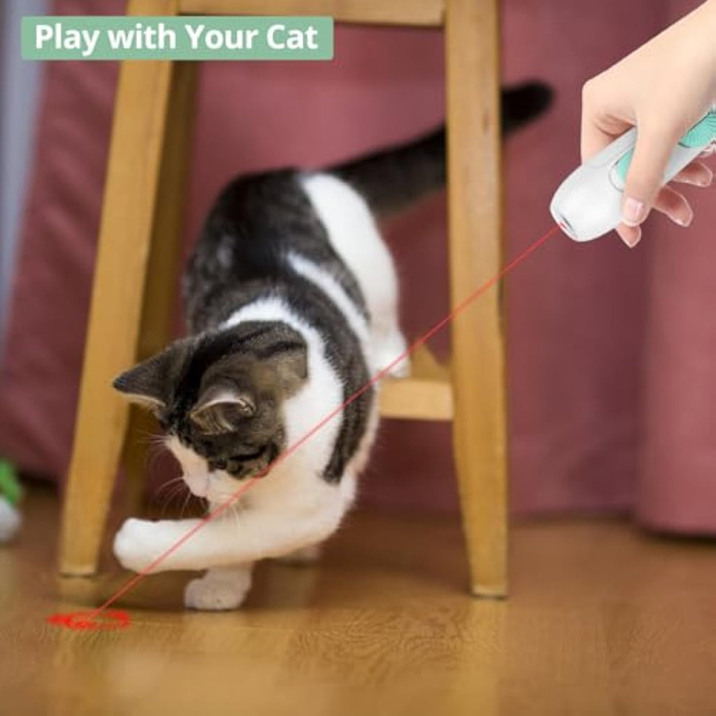 Interactive Cat Toy with Laser and Feather - Tanyo Pet Boutique