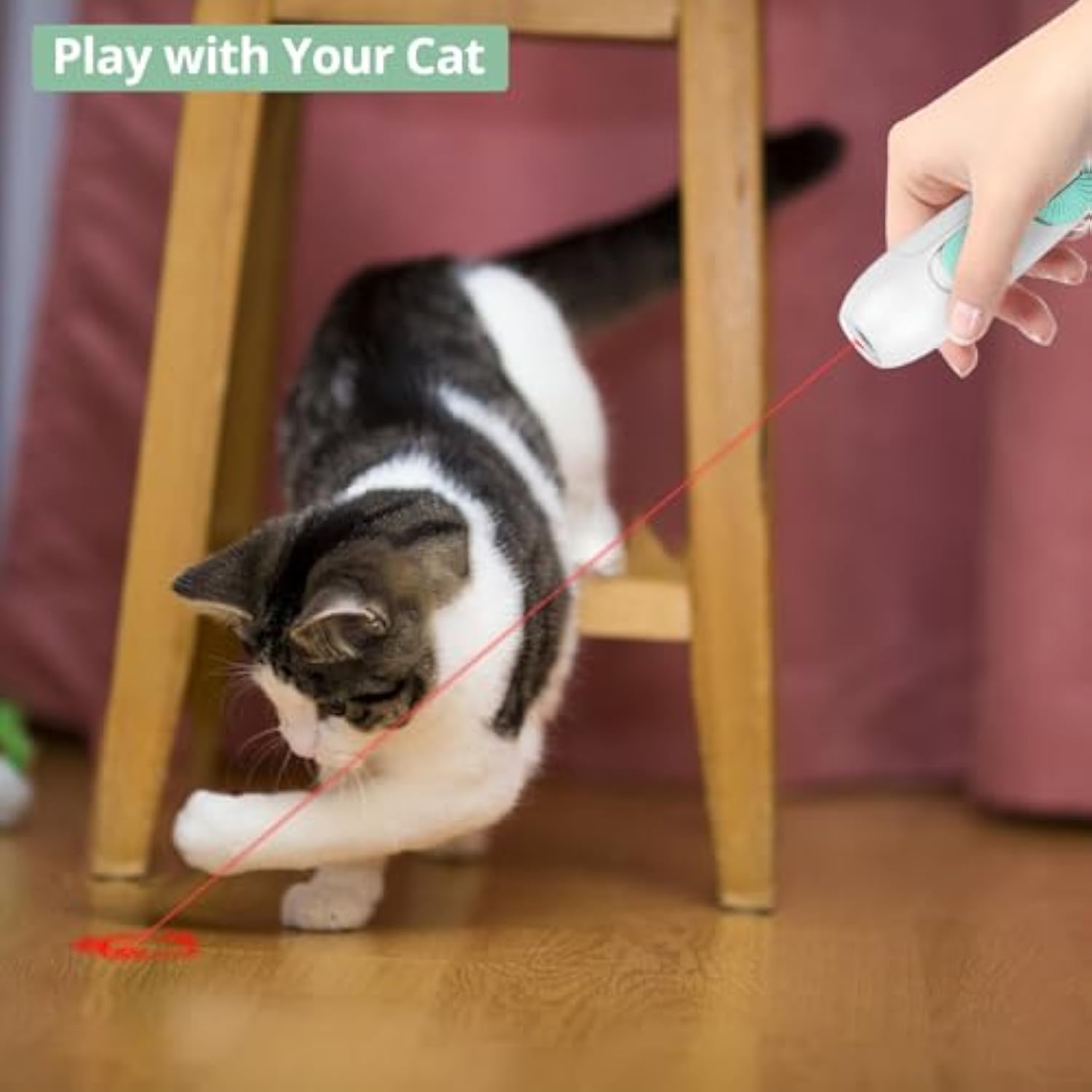 Rechargeable Cat Toy with Laser and Feather - Tanyo Pet Boutique