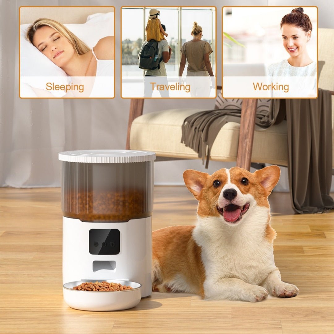 Smart Automatic Pet Feeder for Cats and Dogs - Tanyo Pet Boutique