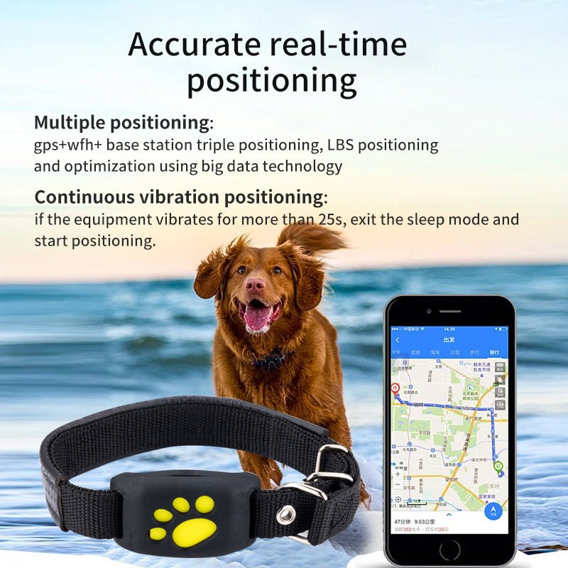 Smart GPS Pet Tracker for Worry‑Free Outdoor Play - Tanyo Pet Boutique