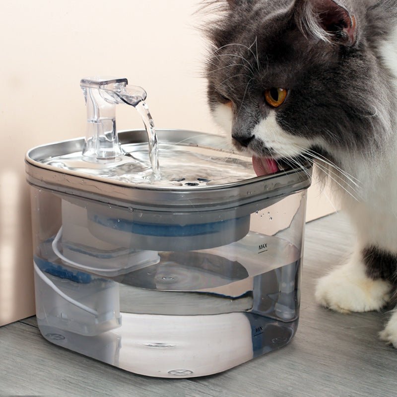 Stainless Steel Smart Pet Water Fountain for Safe Daily Hydration - Tanyo Pet Boutique
