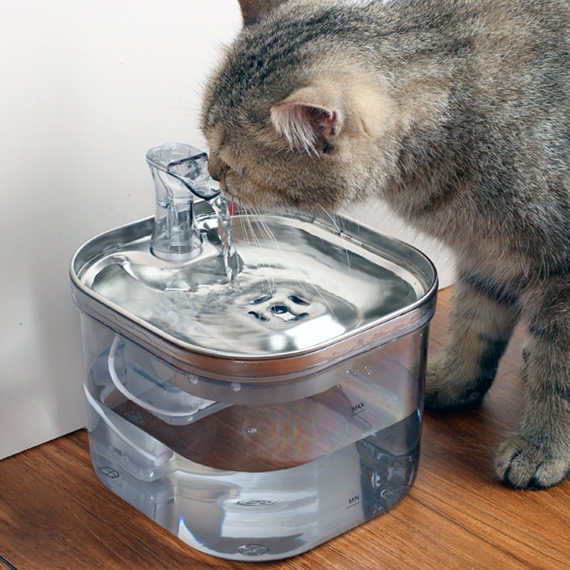 Stainless Steel Smart Pet Water Fountain for Safe Daily Hydration - Tanyo Pet Boutique