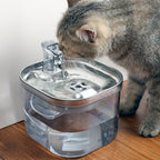 Stainless Steel Smart Pet Water Fountain for Safe Daily Hydration - Tanyo Pet Boutique